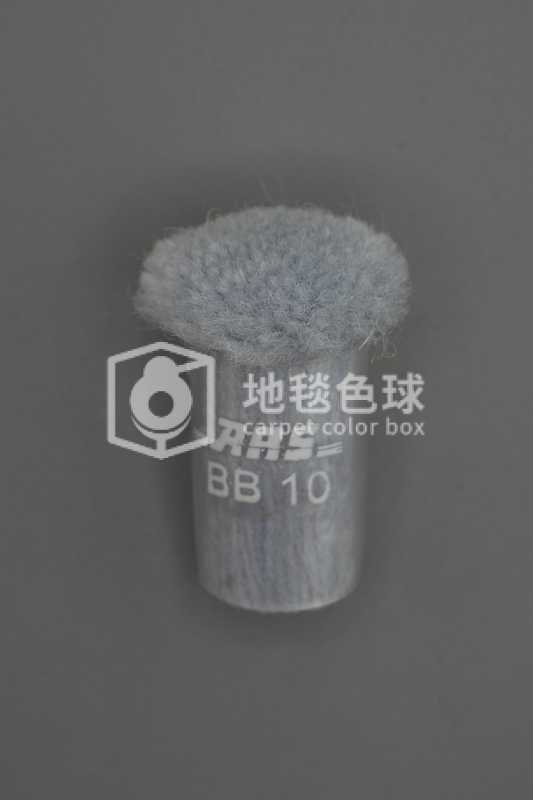 ARS BB10
