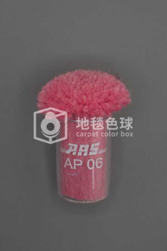 ARS AP06