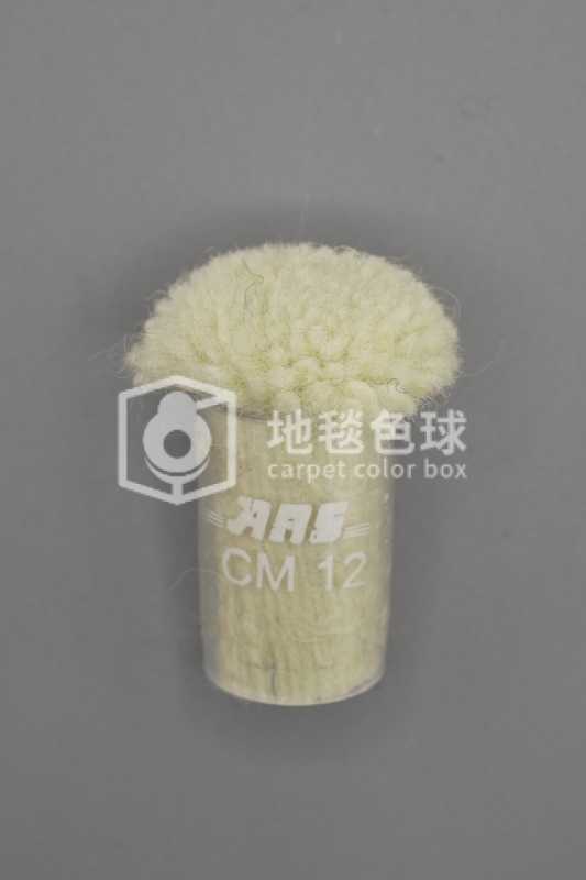 ARS CM12