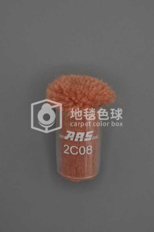 ARS 2C08