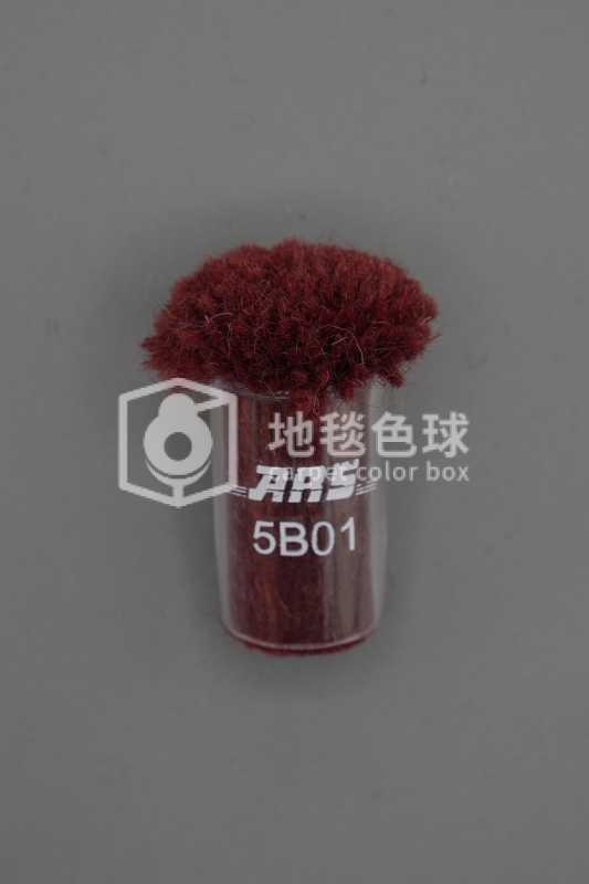 ARS 5B01