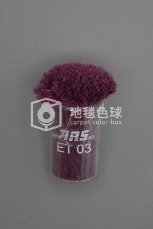 ARS ET03