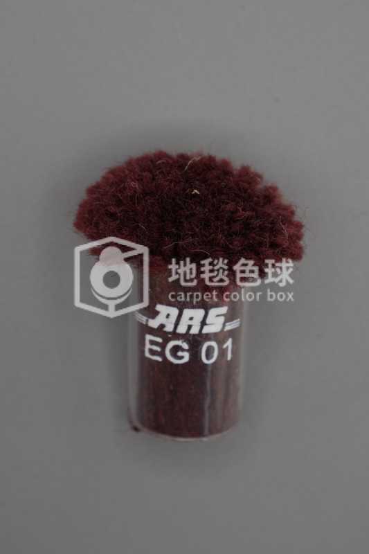 ARS EG01