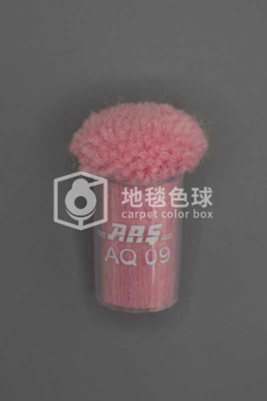 ARS AQ09