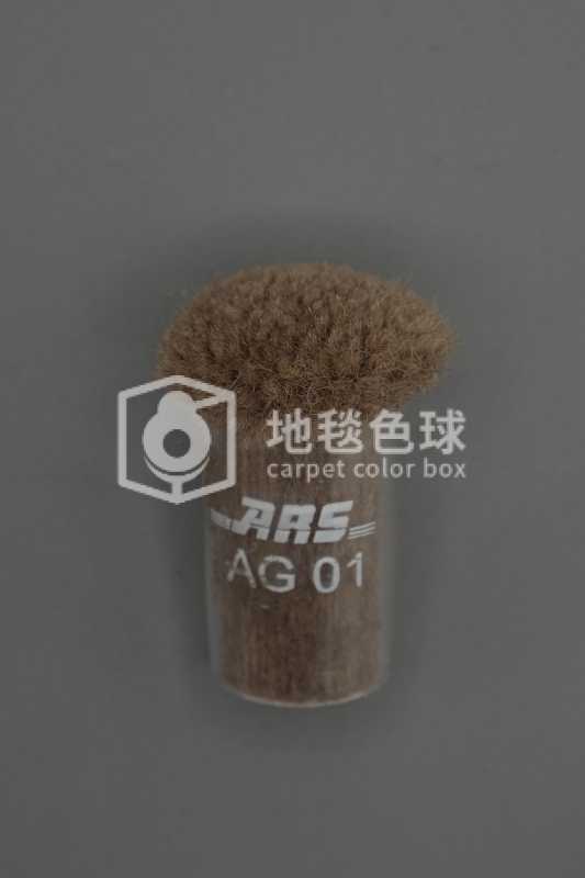 ARS AG01