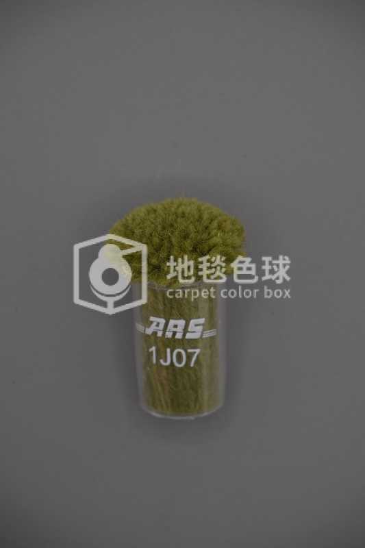 ARS 1J07