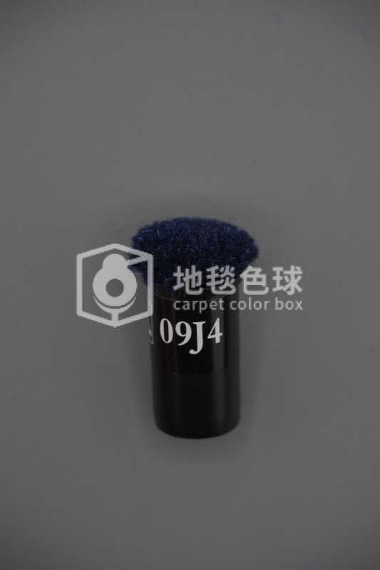 09J4