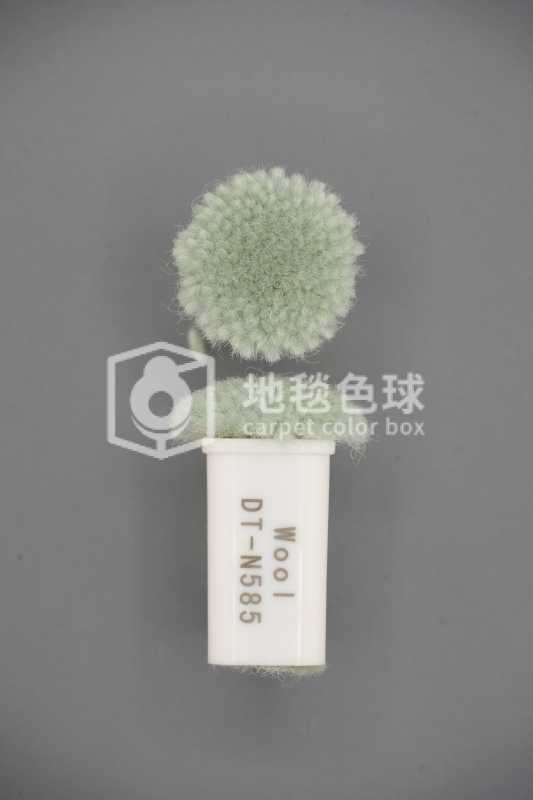 DT N585