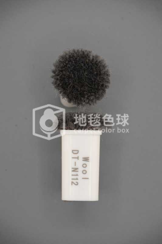 DT N112