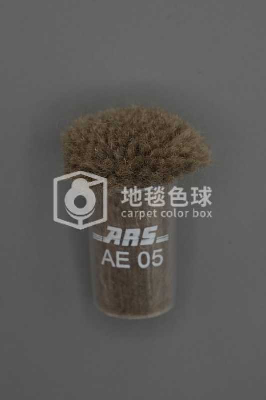 ARS AE05