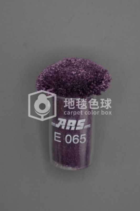 ARS E065