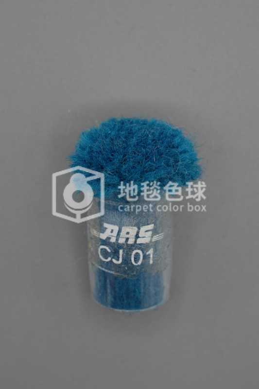 ARS CJ01