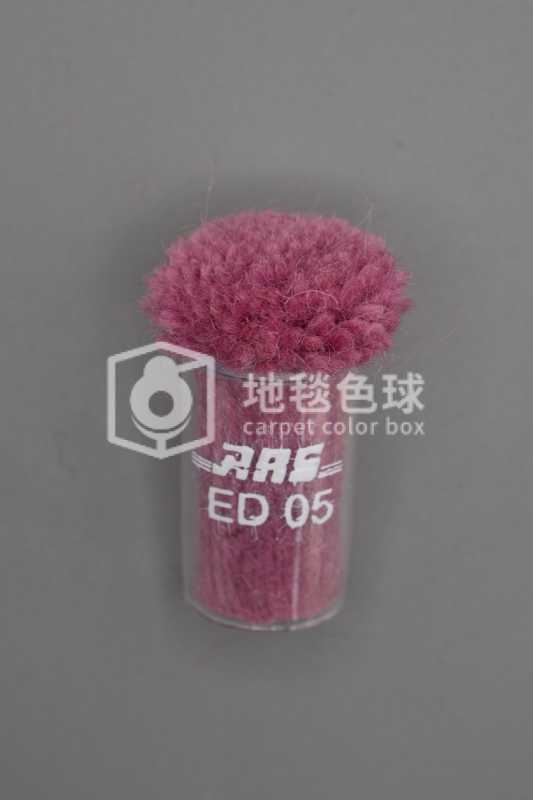 ARS ED05