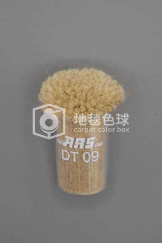 ARS DT09