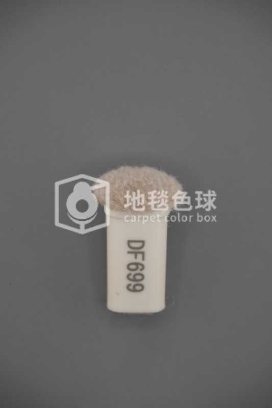 DF699
