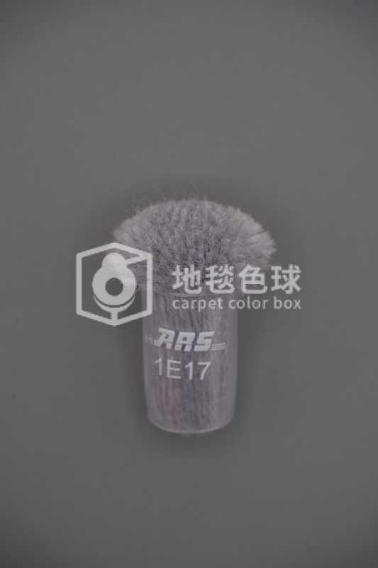 ARS 1E17