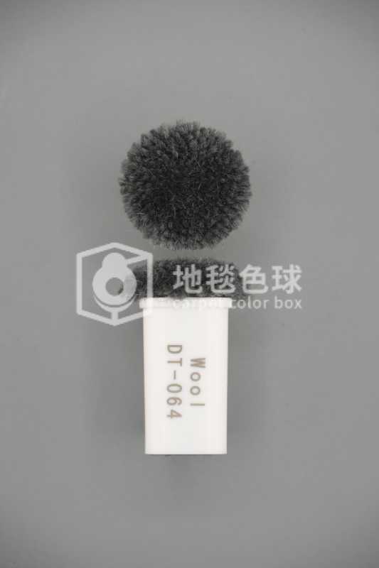 DT 064