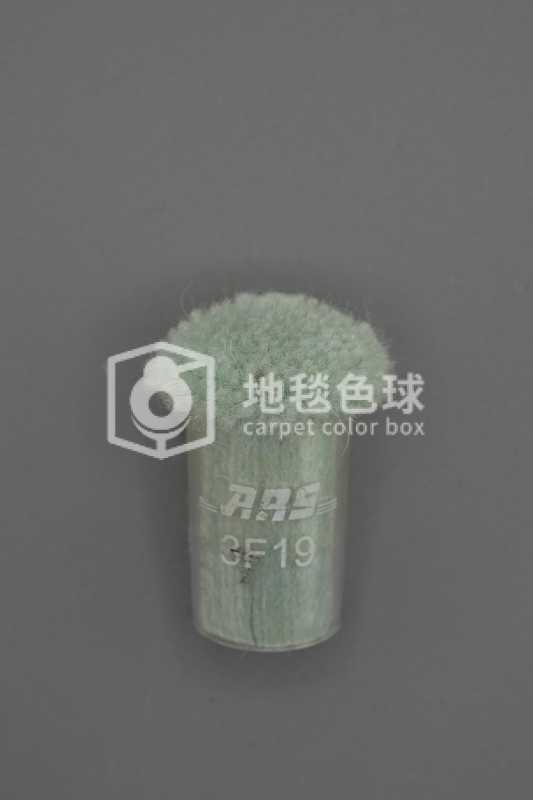 ARS 3F19