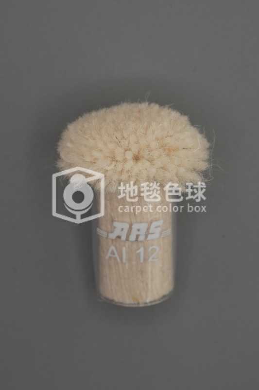 ARS AI12