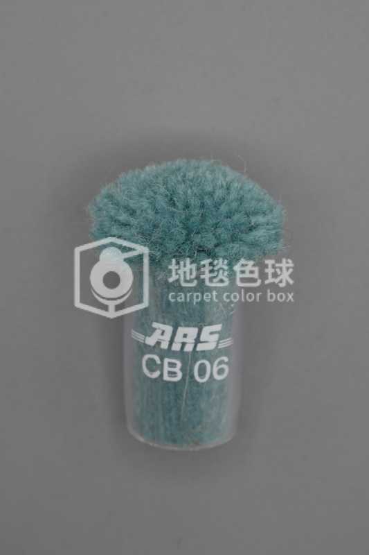 ARS CB06