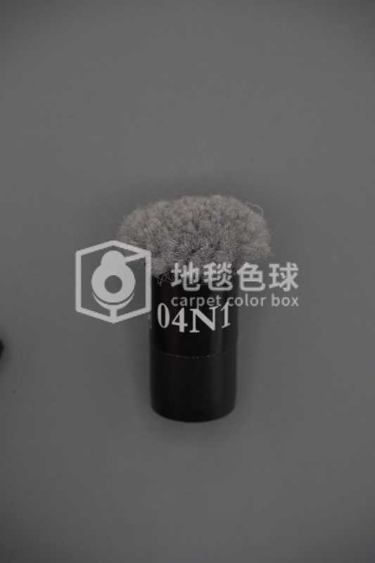 04N1