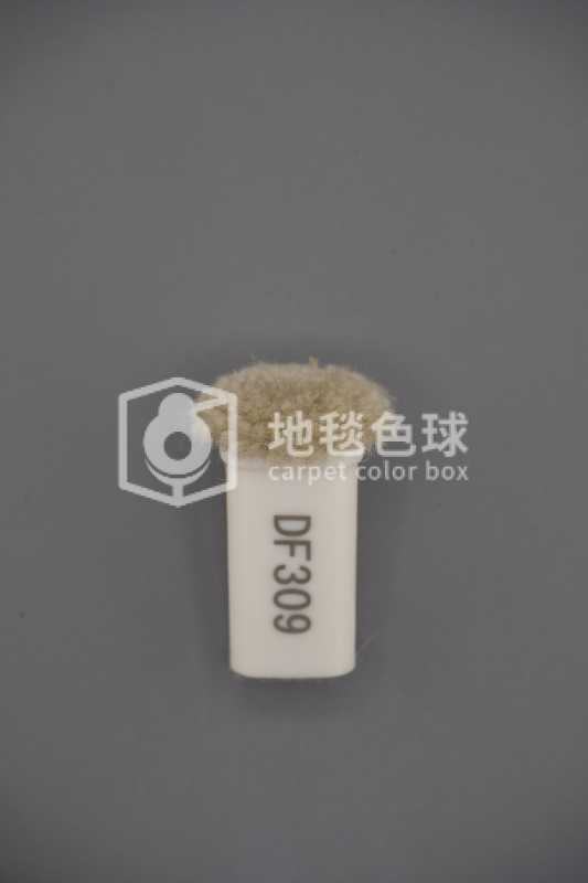 DF309