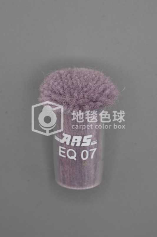 ARS EQ07