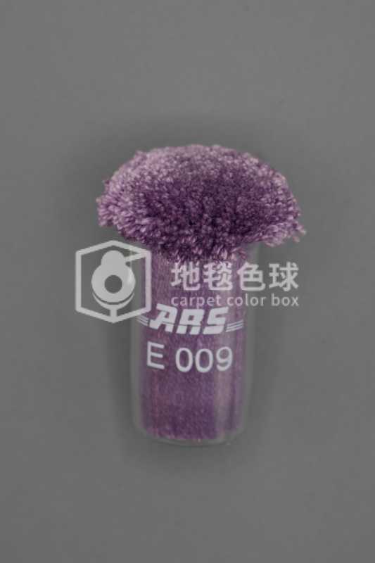 ARS E009