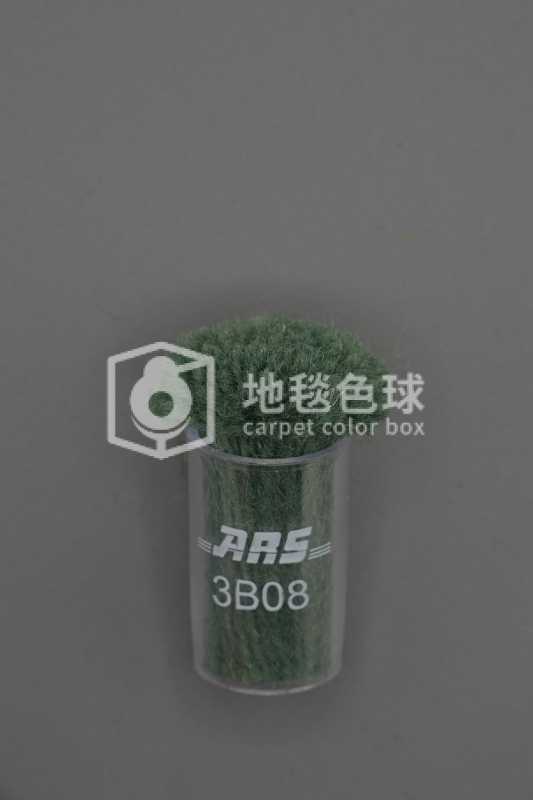 ARS 3B08