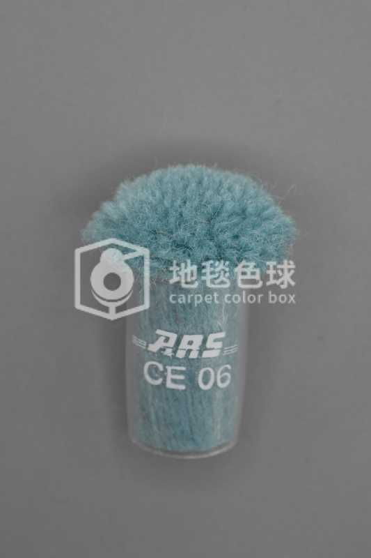 ARS CE06