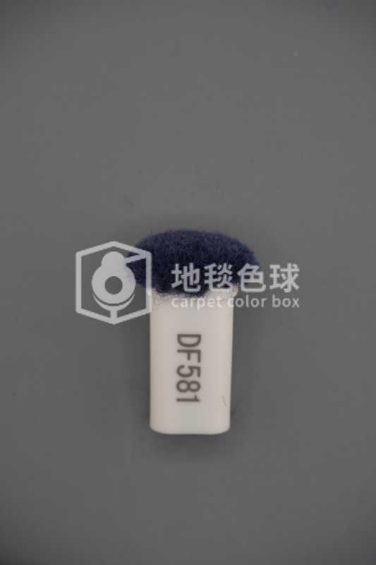 DF581