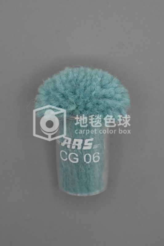 ARS CG06