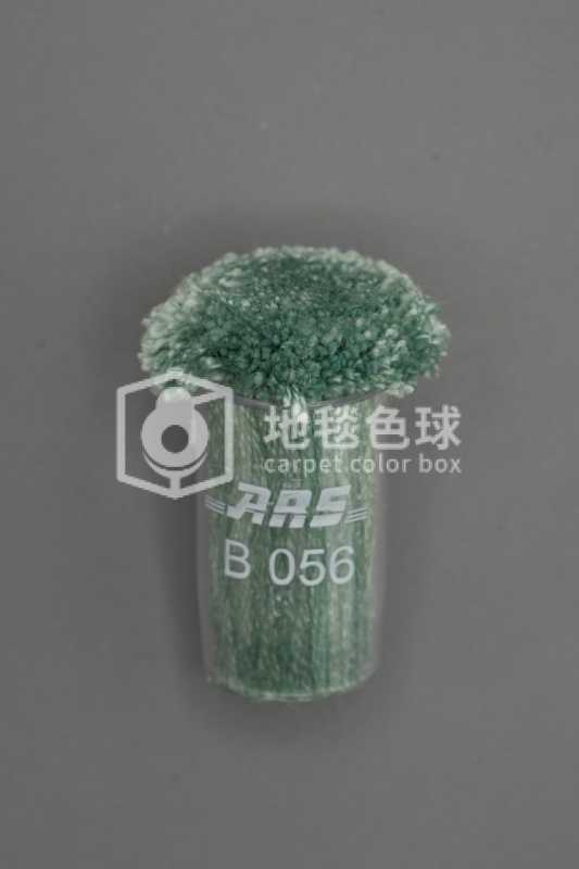ARS B056