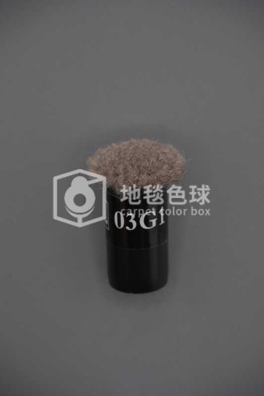 03G1