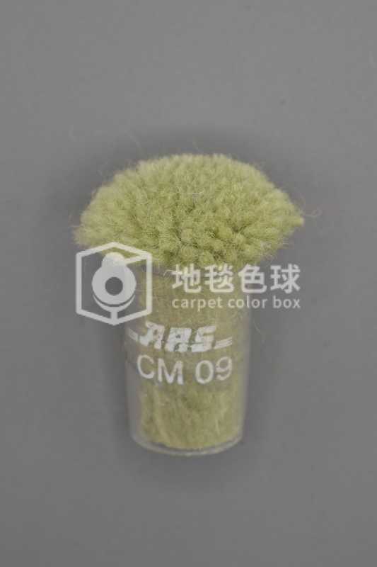 ARS CM09