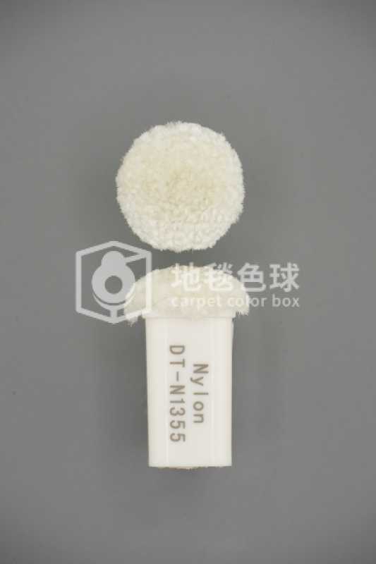 DT N1355
