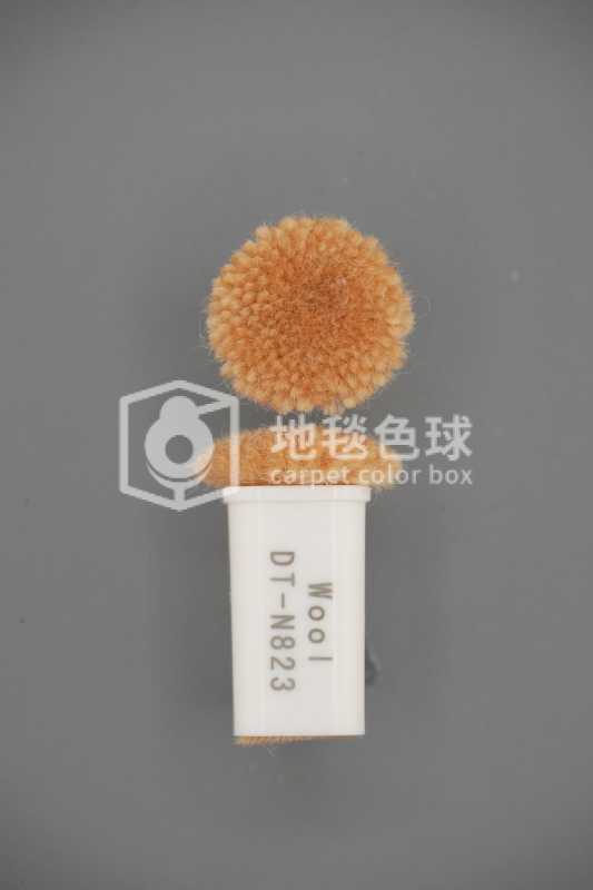 DT N823