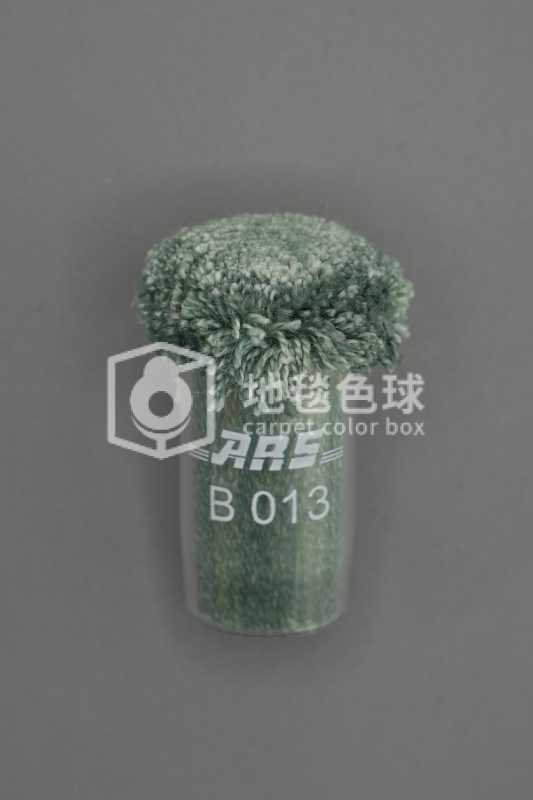 ARS B013