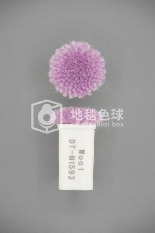DT N1593