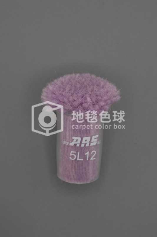 ARS 5L12