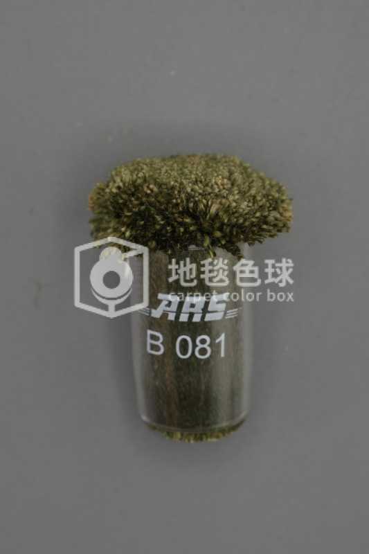 ARS B081
