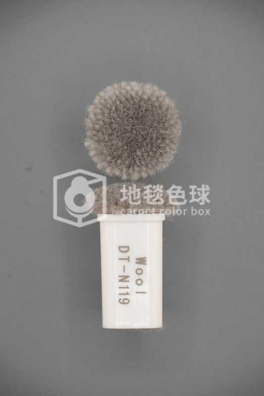 DT N119