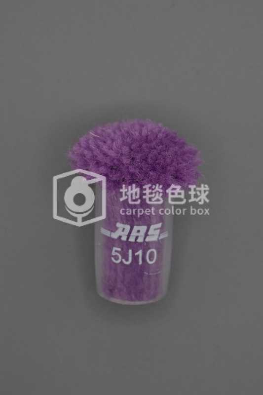 ARS 5J10