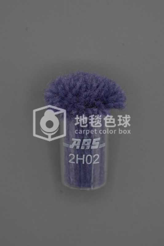 ARS 2H02