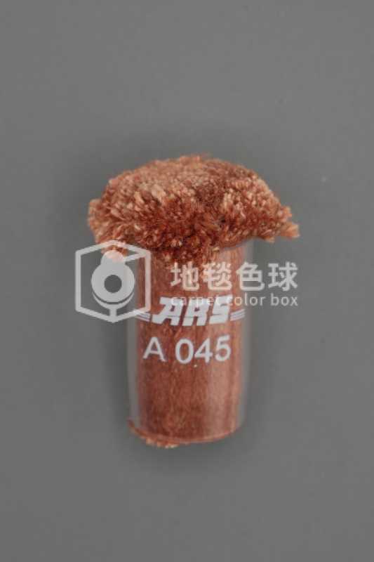 ARS A045