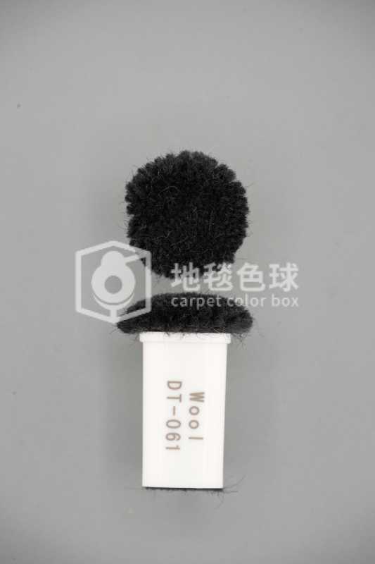 DT 061