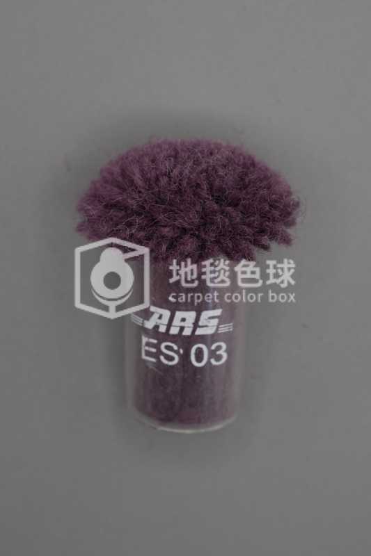 ARS ES03