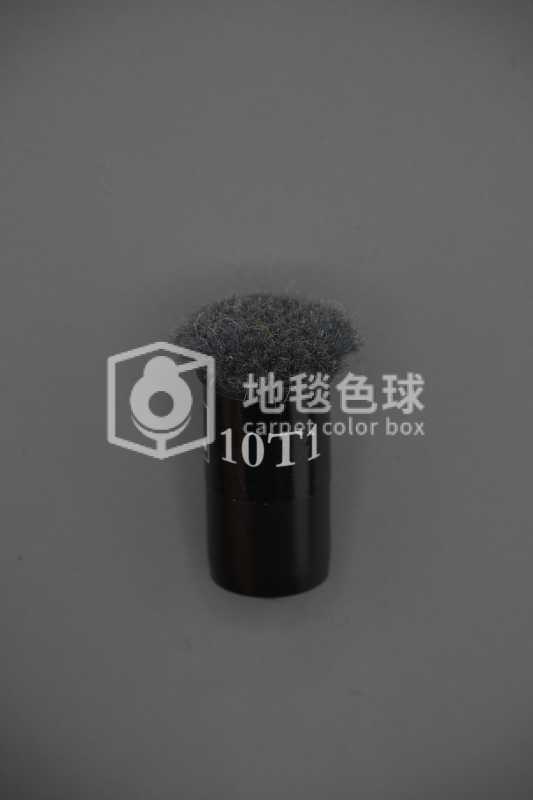 10T1