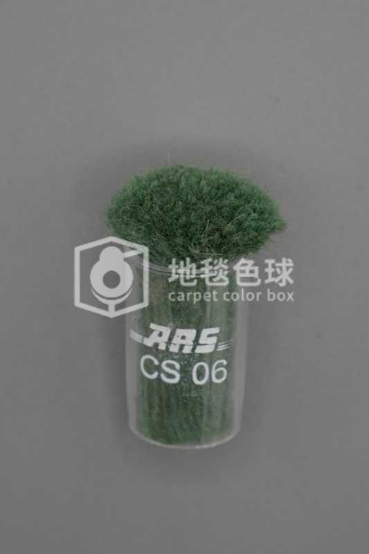 ARS CS06