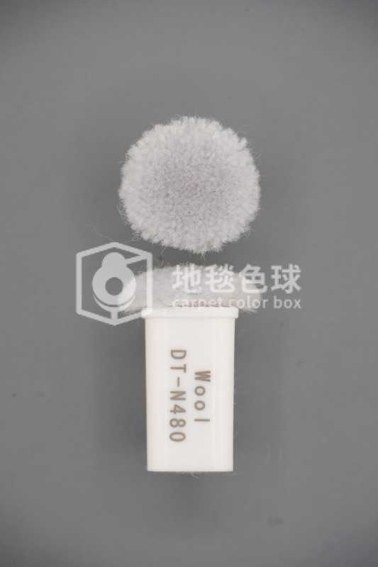DT N480